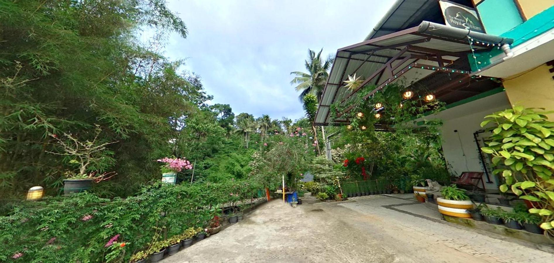 Wayanad Royal Stream Bed and Breakfast Kalpetta Exteriör bild