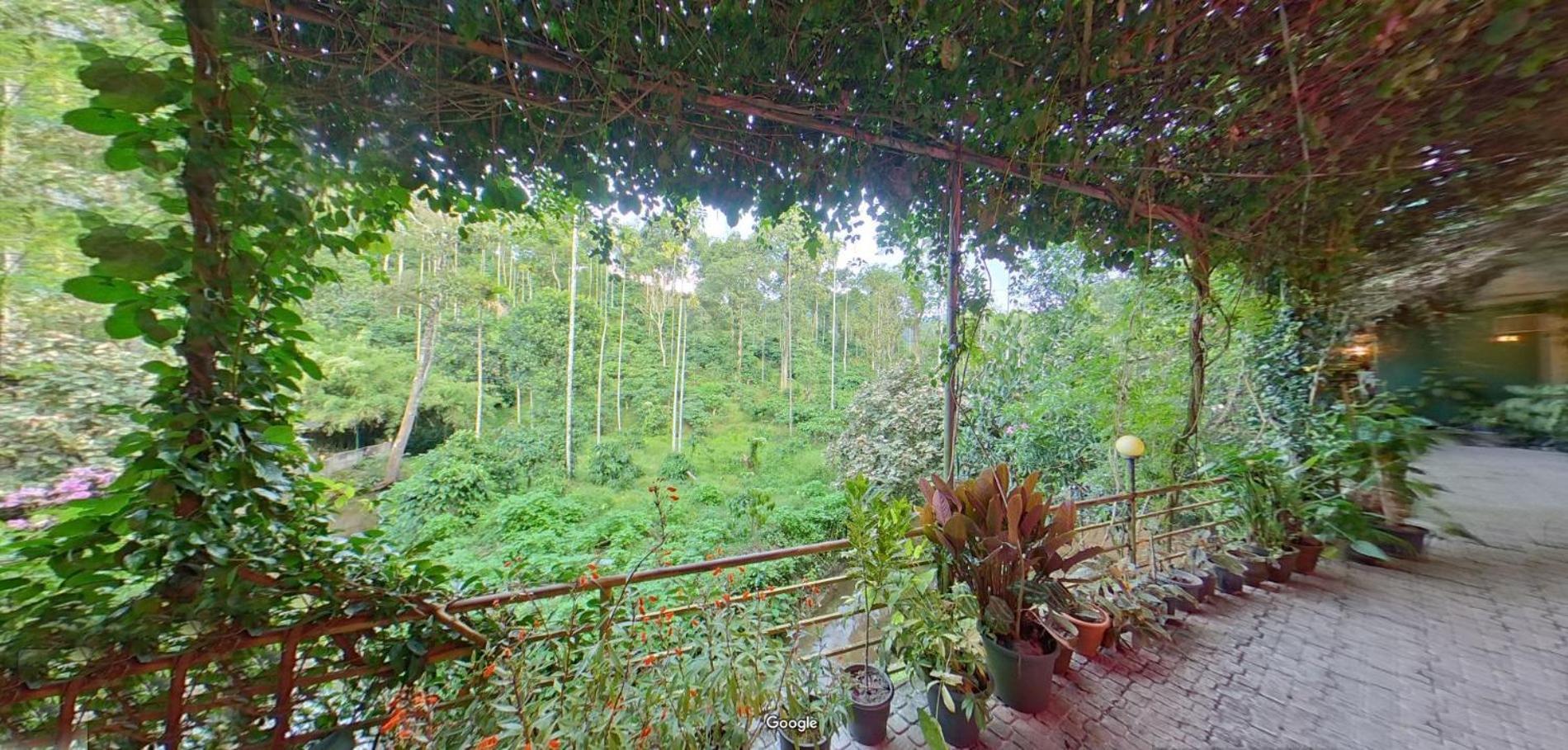 Wayanad Royal Stream Bed and Breakfast Kalpetta Exteriör bild