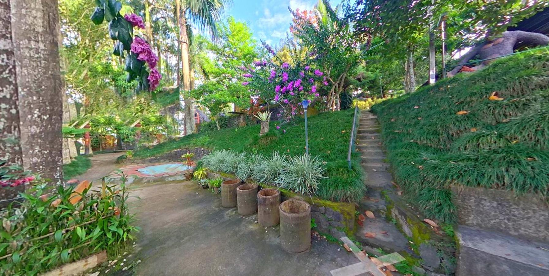 Wayanad Royal Stream Bed and Breakfast Kalpetta Exteriör bild
