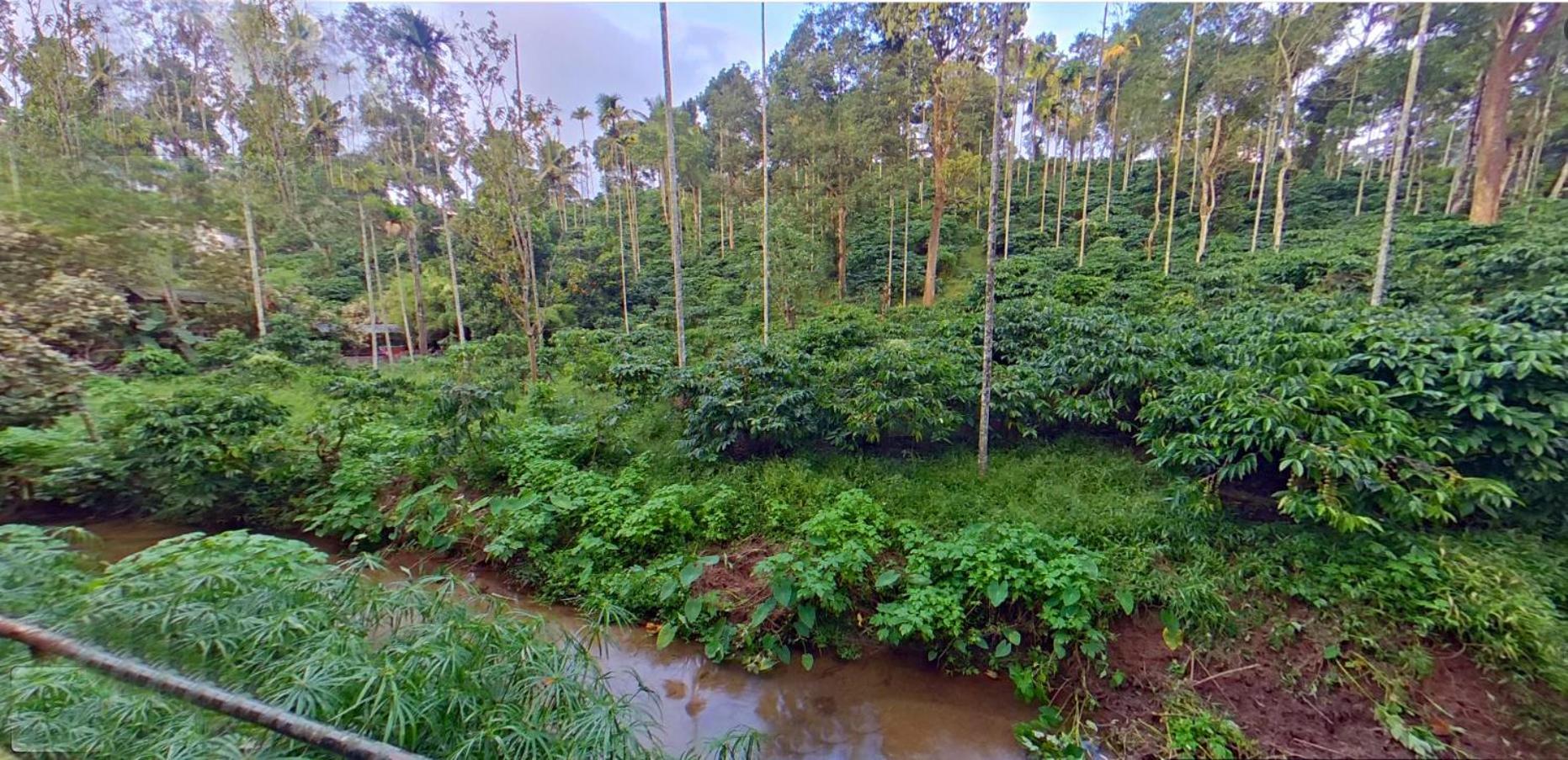 Wayanad Royal Stream Bed and Breakfast Kalpetta Exteriör bild