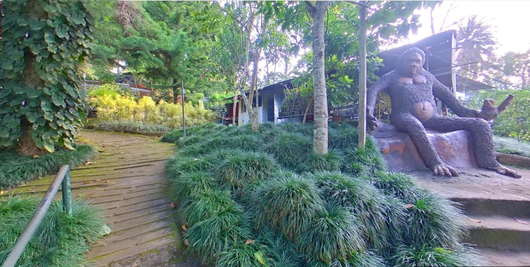 Wayanad Royal Stream Bed and Breakfast Kalpetta Exteriör bild
