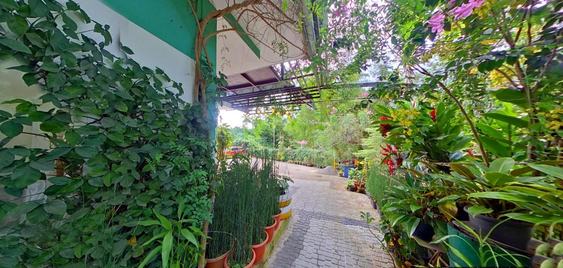Wayanad Royal Stream Bed and Breakfast Kalpetta Exteriör bild