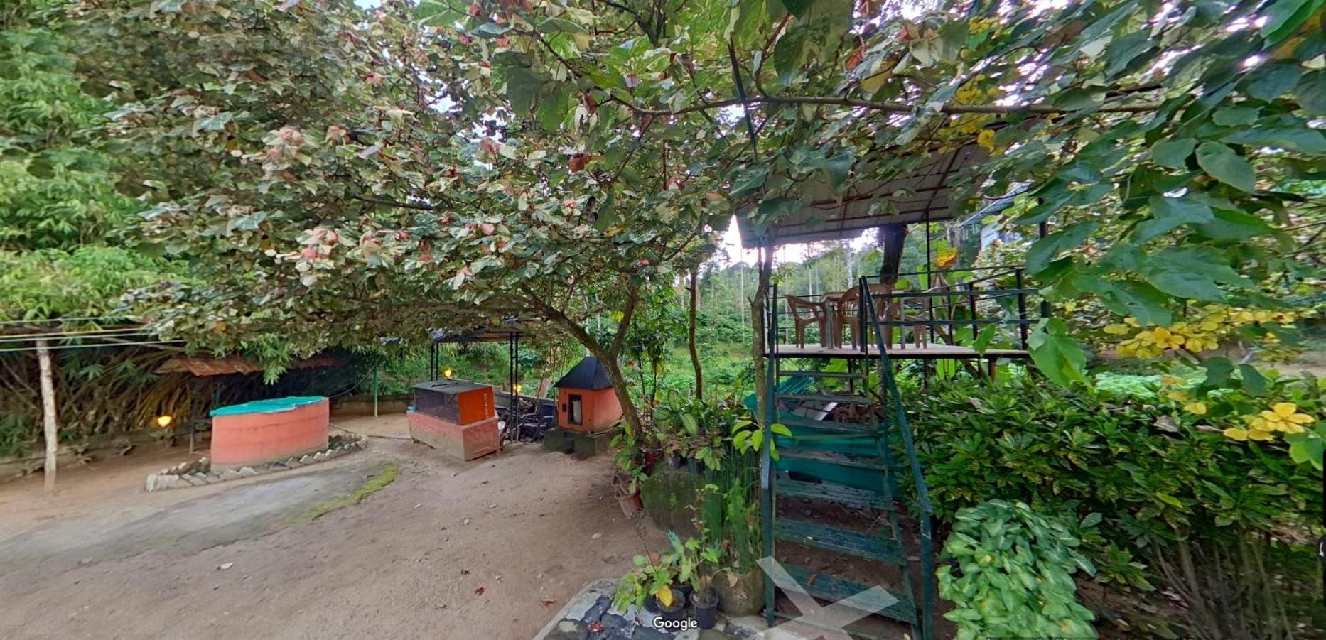 Wayanad Royal Stream Bed and Breakfast Kalpetta Exteriör bild