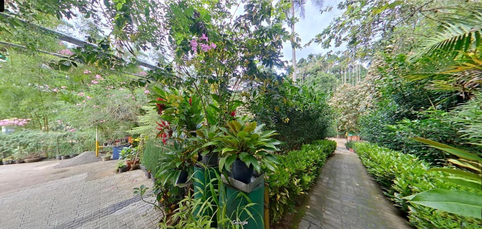 Wayanad Royal Stream Bed and Breakfast Kalpetta Exteriör bild