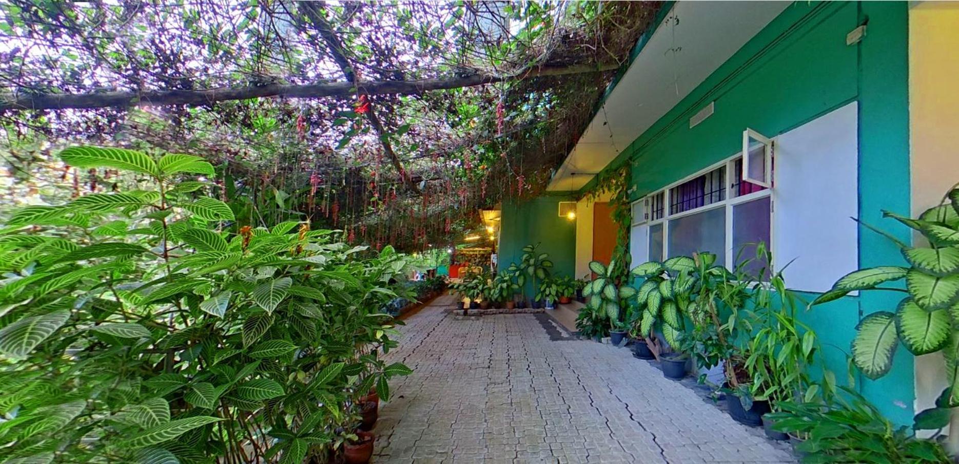 Wayanad Royal Stream Bed and Breakfast Kalpetta Exteriör bild