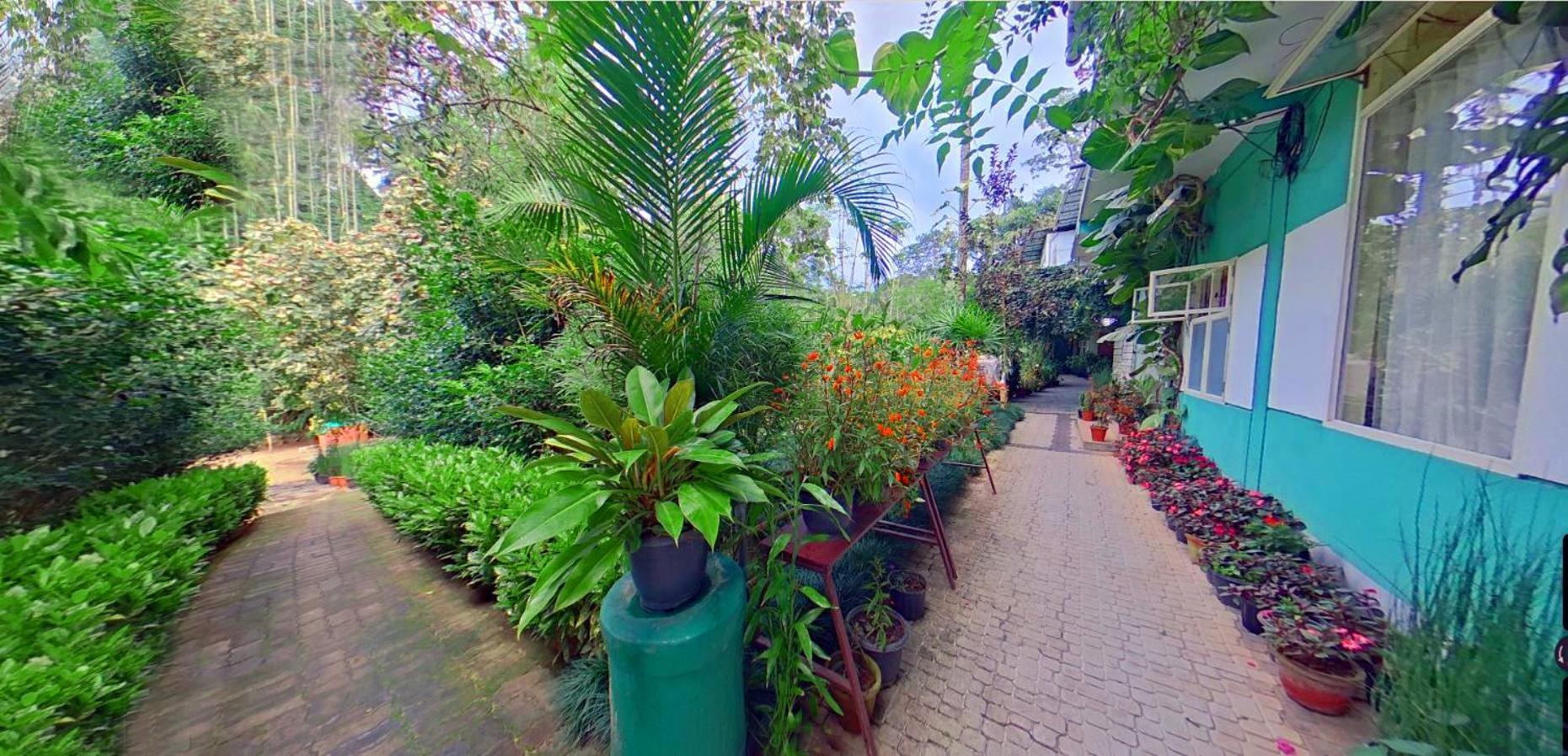 Wayanad Royal Stream Bed and Breakfast Kalpetta Exteriör bild