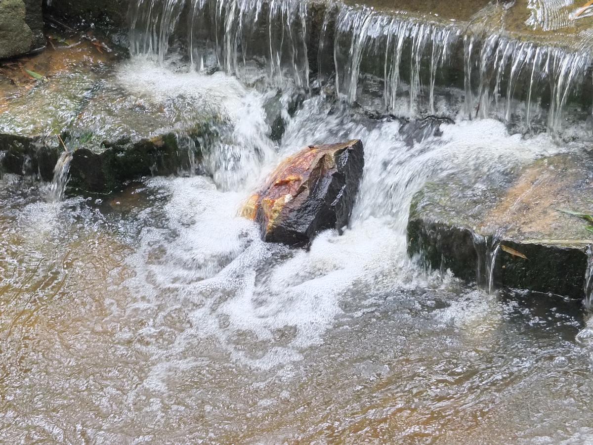 Wayanad Royal Stream Bed and Breakfast Kalpetta Exteriör bild